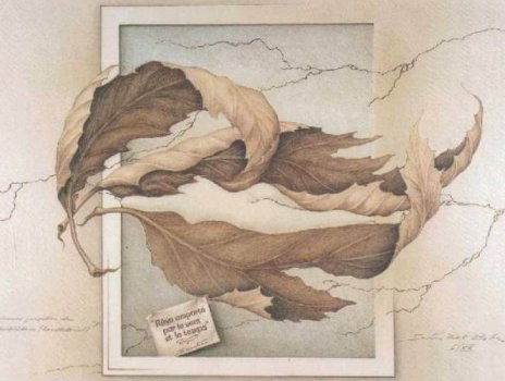 feuilles mortes